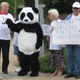 Image for article titled Conservative Super-PAC Interns Star in Hillary Clinton Panda Sex Tape